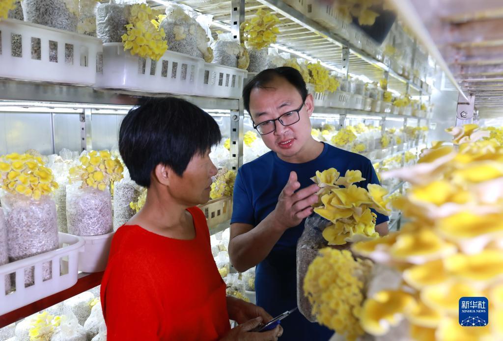 必胜娱乐28欧洲城网址